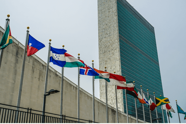 Globalna podrška za buduće roditelje: IVF Centar i ministarka Macura u sedištu UNFPA