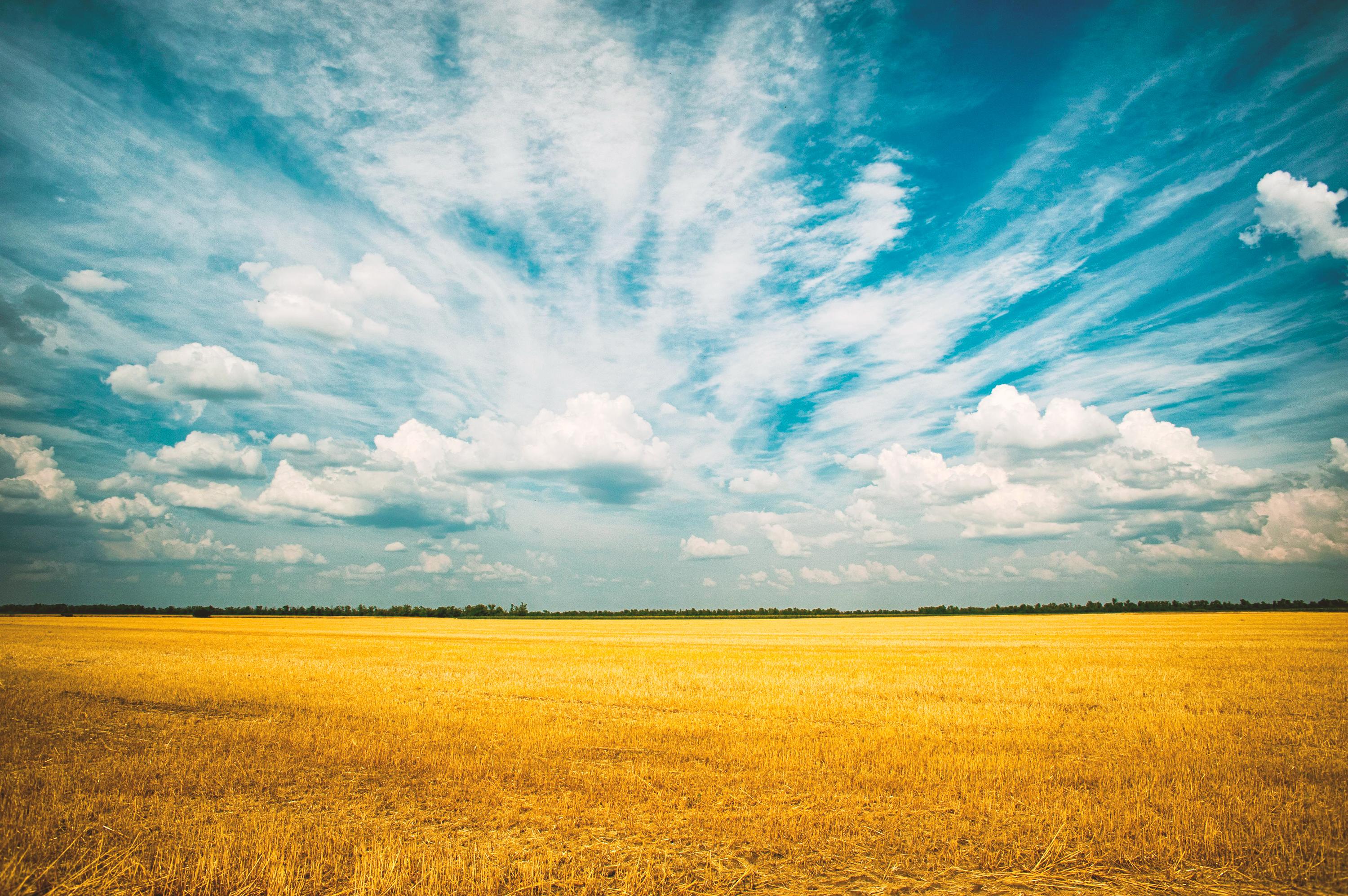 Razumevanje plodnih dana: Sve sto trebate znati